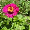 rebeccaduart657